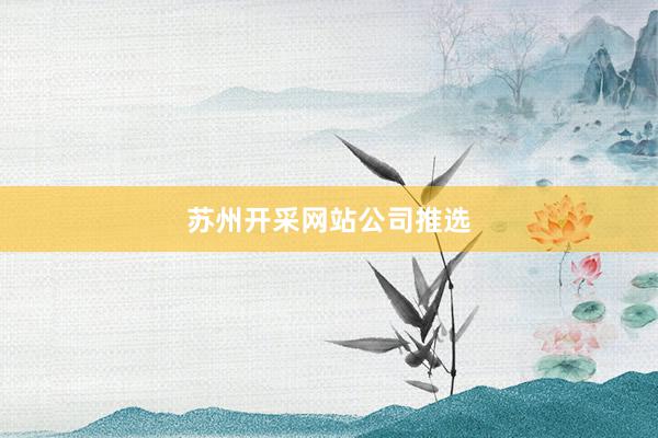 苏州开采网站公司推选